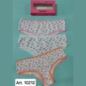 ART_10212_INTI_LENCERIA ART.SA10212 PACK X3 COLOTTE CLASICO ALGODÓN Y LYCRA ESTAMPADO
