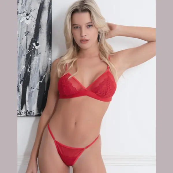 ART.FA236 CONJUNTO BRALETTE DE PUNTILLA CON TUL Y TANGA LESS